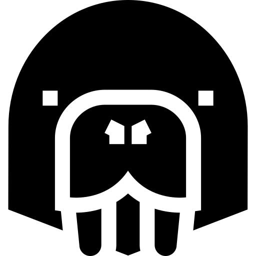 Walrus