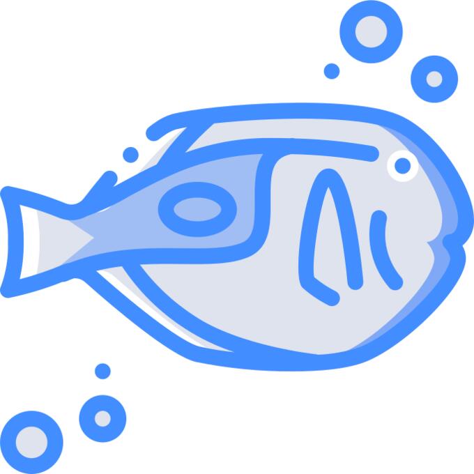 Surgeon fish
