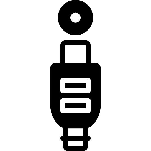 Plug