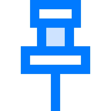 Pin