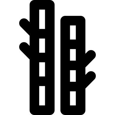 竹