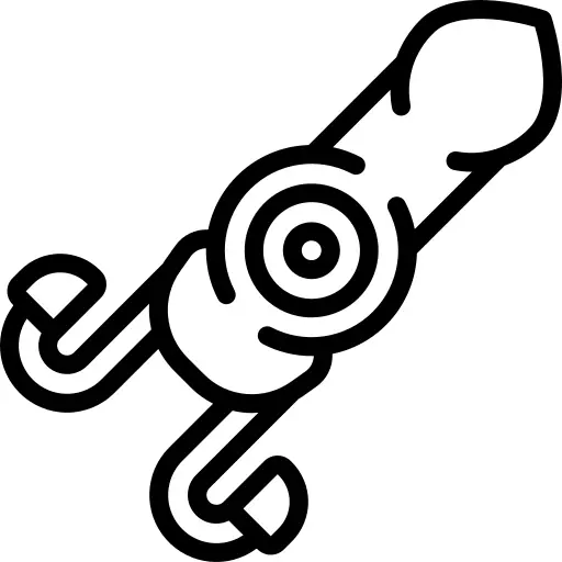 Squid