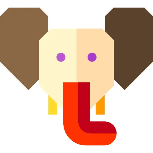 象