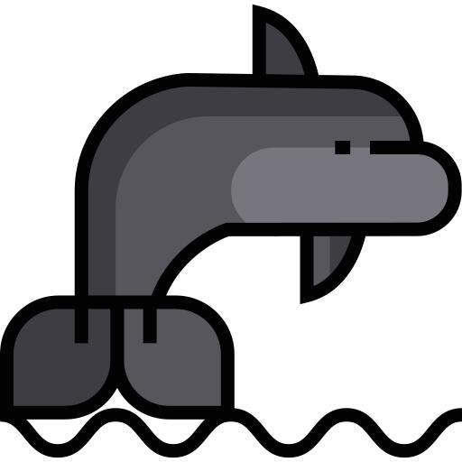 Dolphin