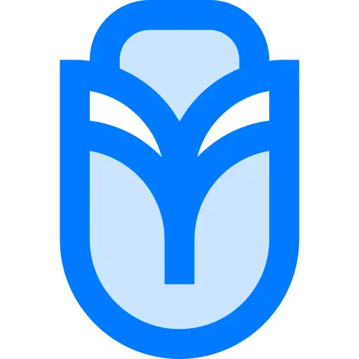 玫瑰