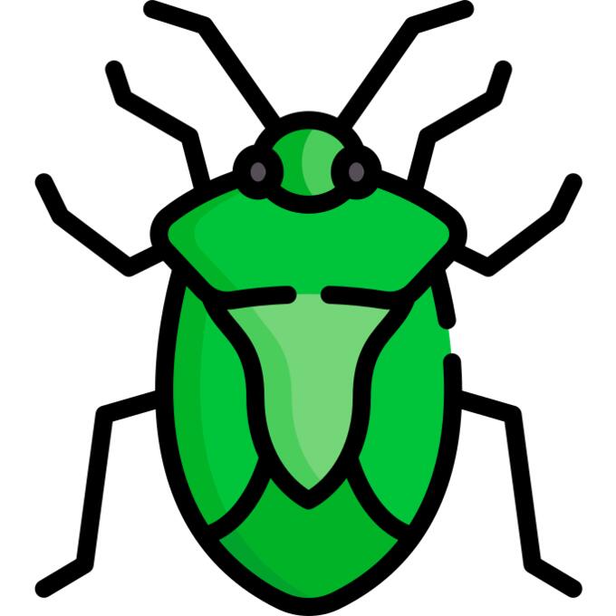 Bug