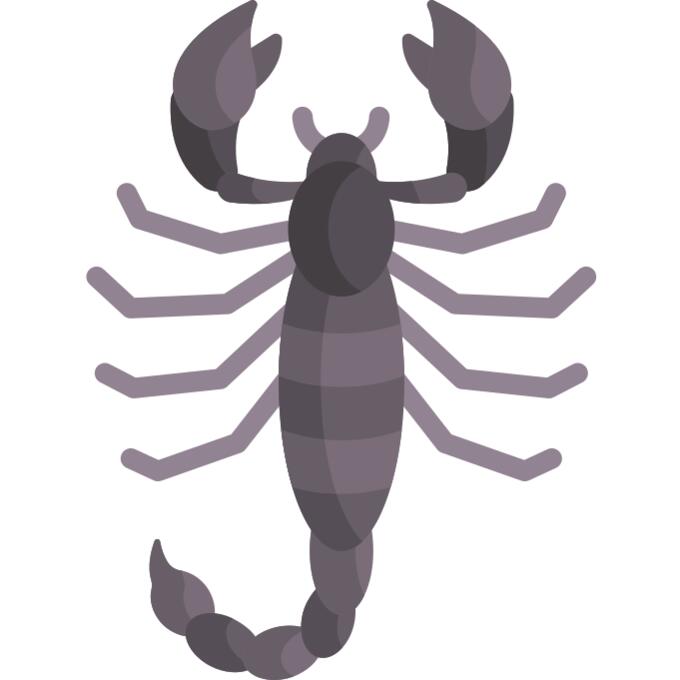 蝎