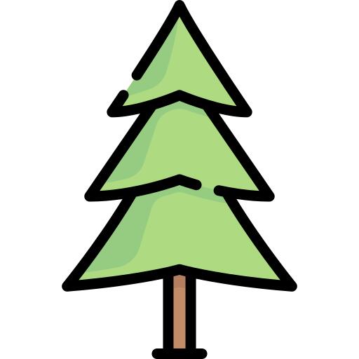 Fir