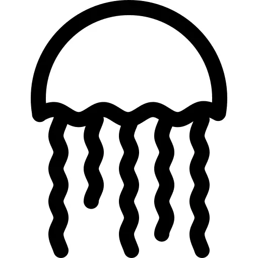 Jellyfish