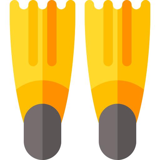 Fins