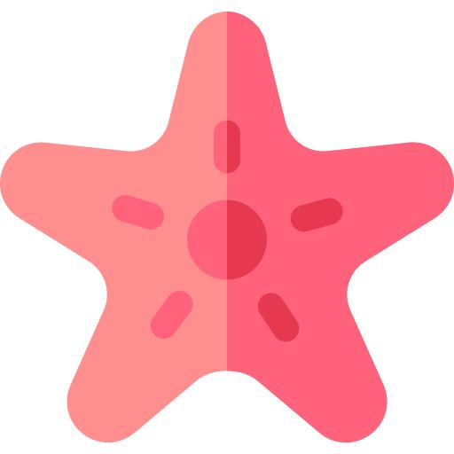 海星