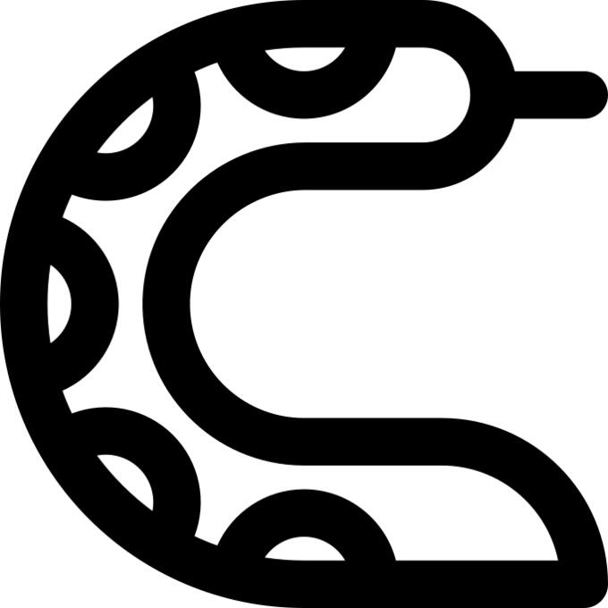 Sea snake