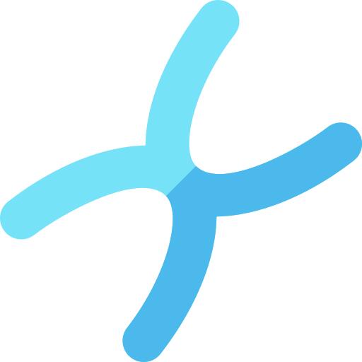 Chromosome