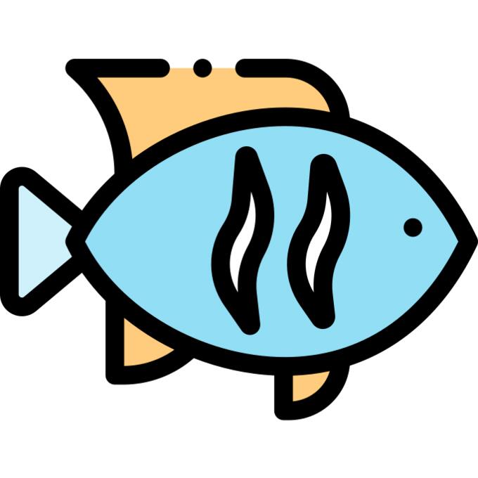 鱼