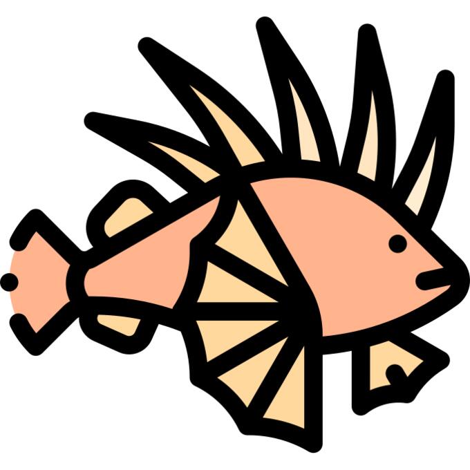 Lion fish