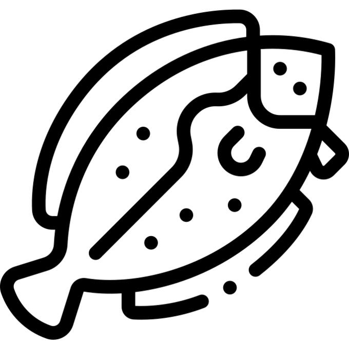 比目鱼
