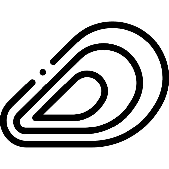 Mussel