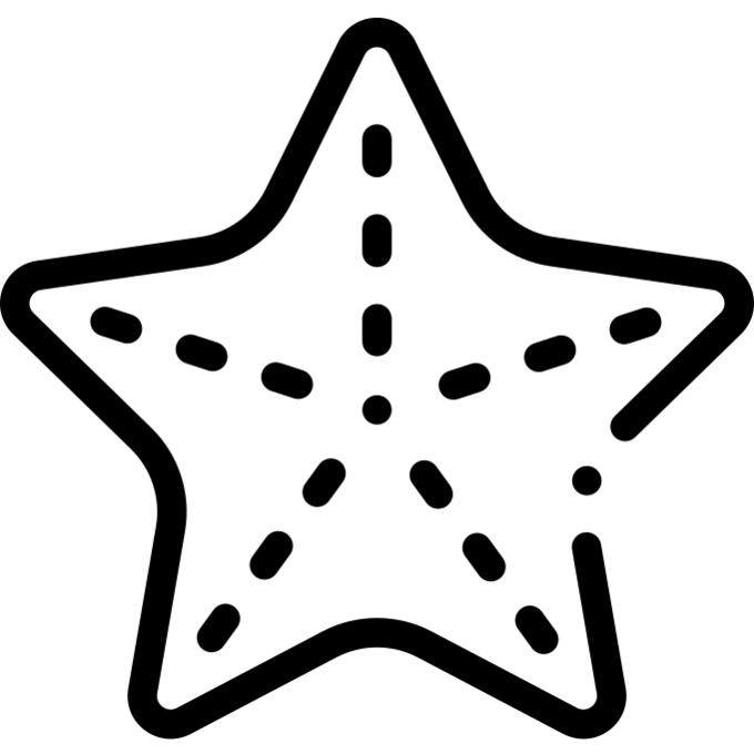 海星