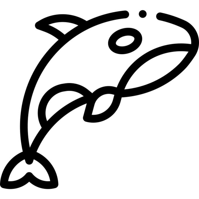 逆戟鲸