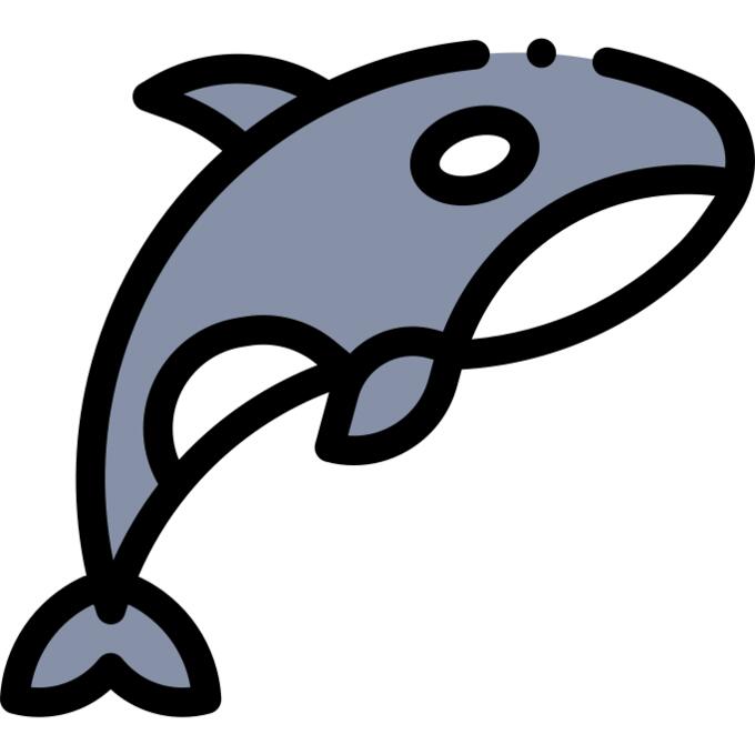 Orca