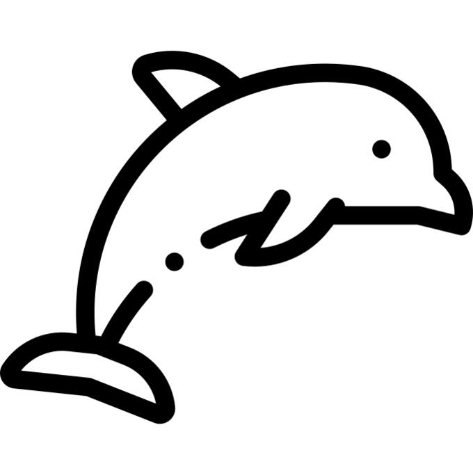海豚