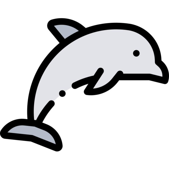 海豚