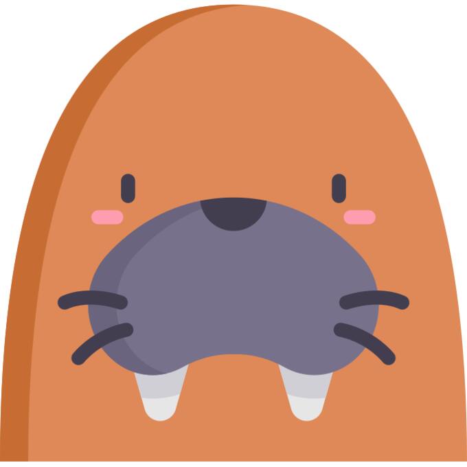 Walrus