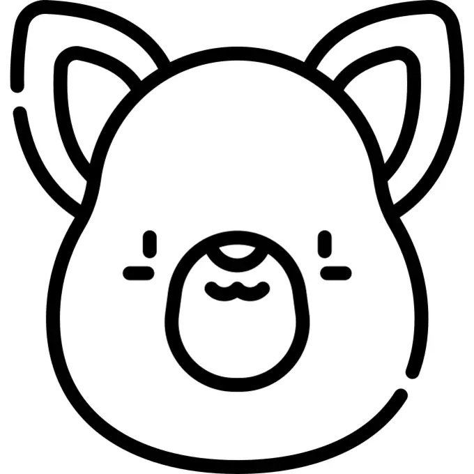 袋鼠