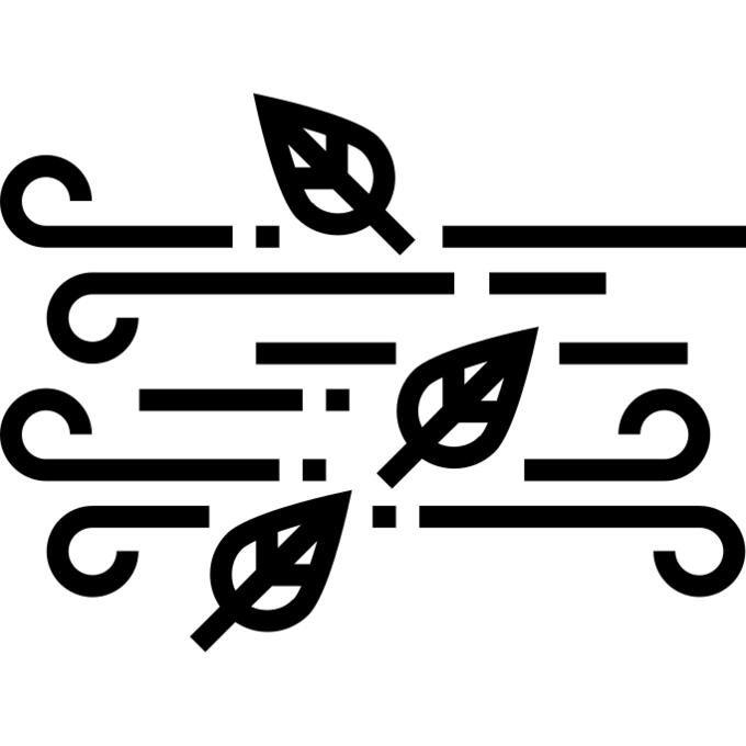 Wind
