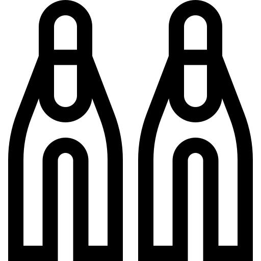 Fins