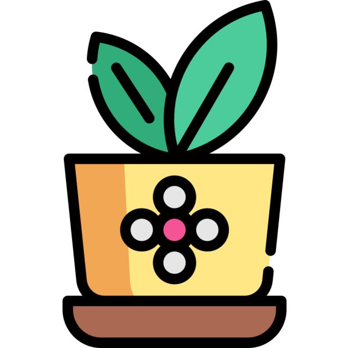 植物盆栽