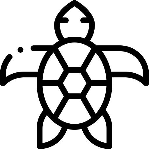 Tortoise