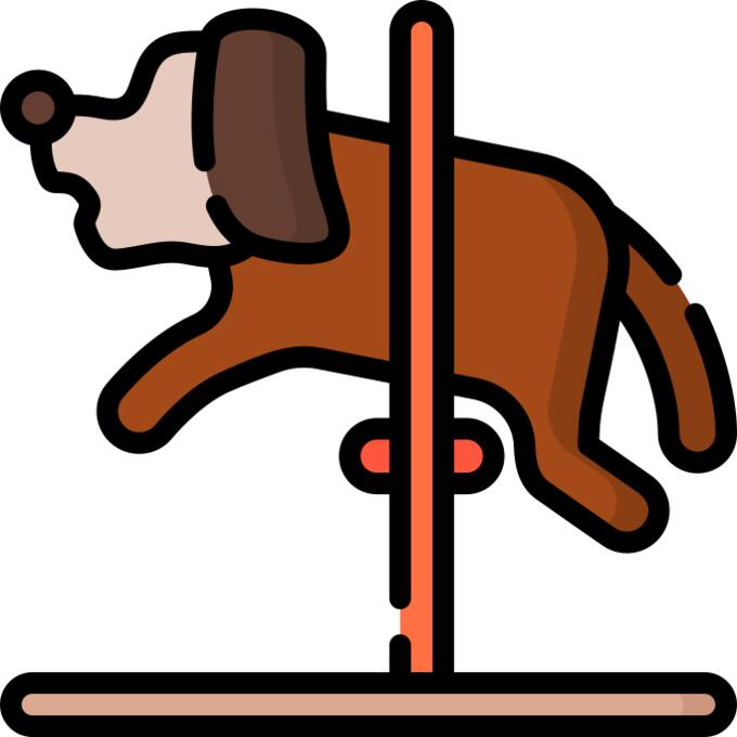 狗