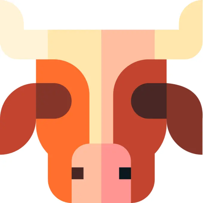 Cattle