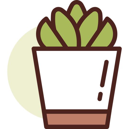 植物