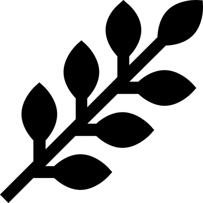 草本植物