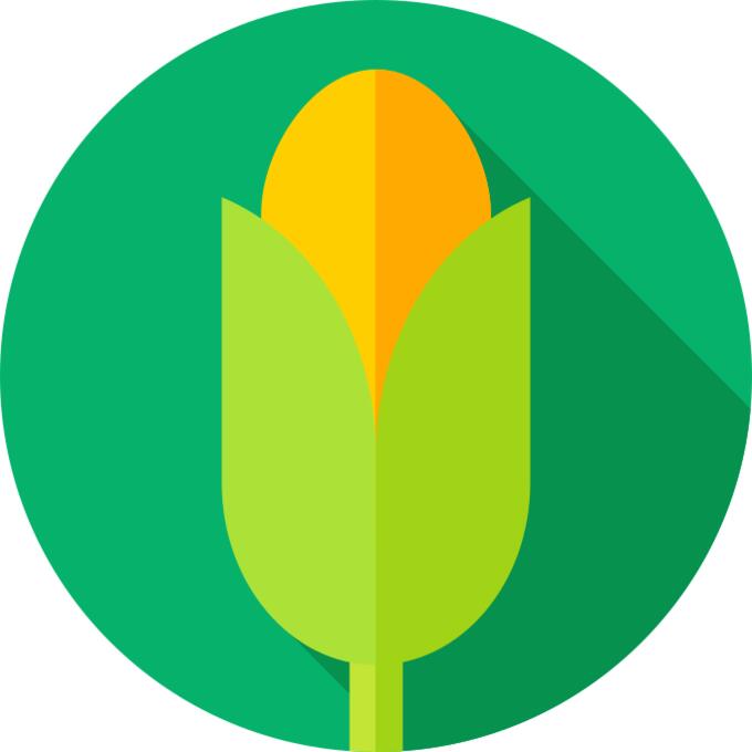 Corn
