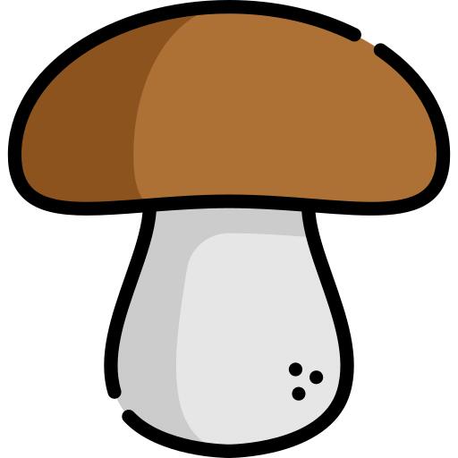 蘑菇