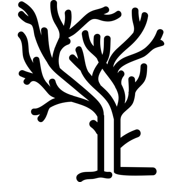Tree of irregular shape branches on winter without leaves