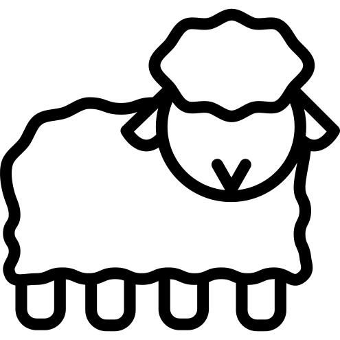 Sheep