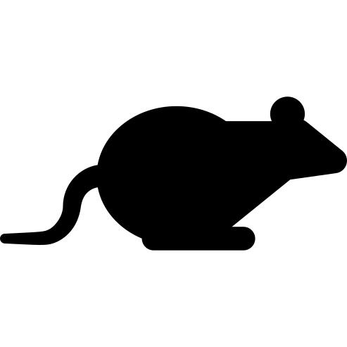Sitting Mouse