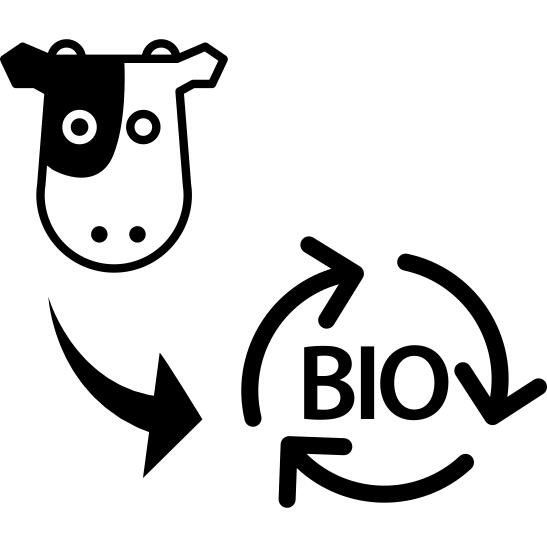 Cow waste to bio mass