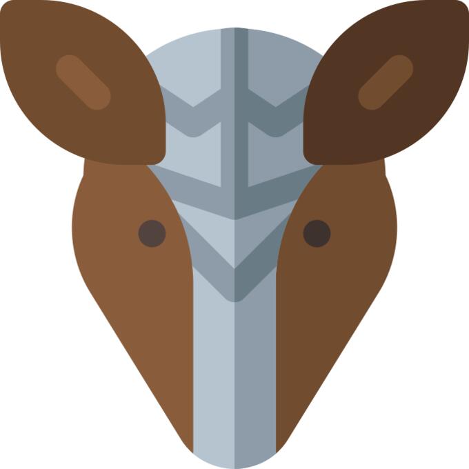 Armadillo