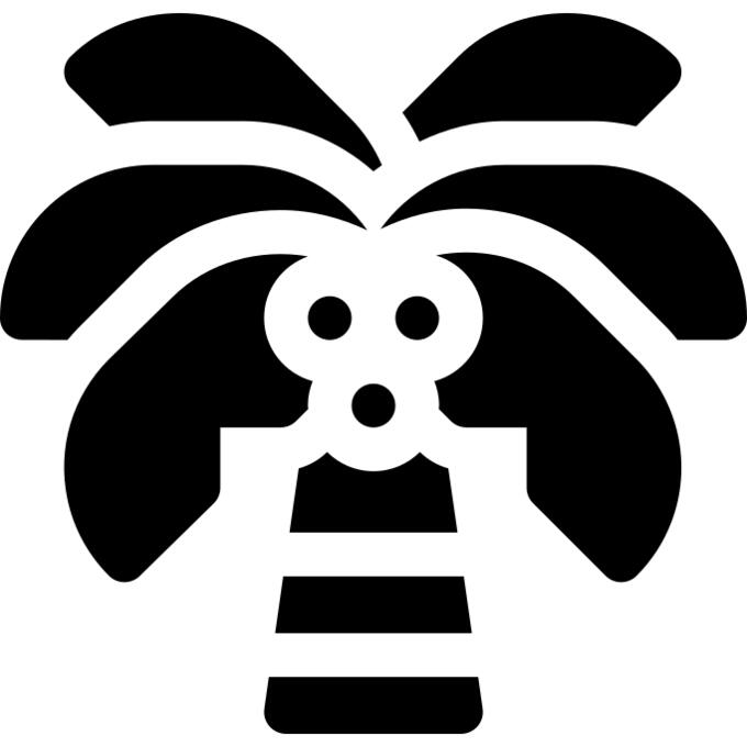 椰子