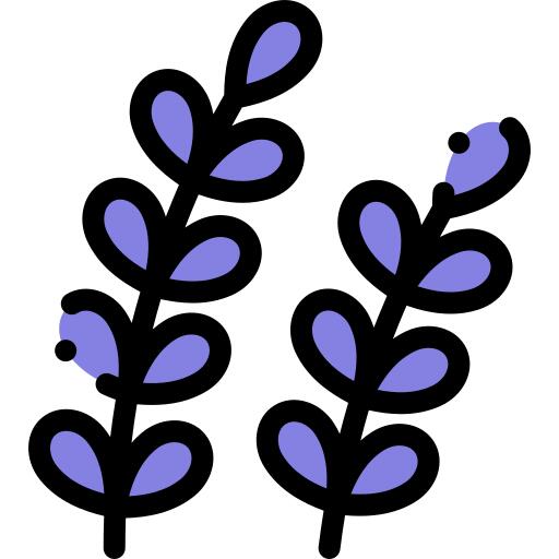 Lavender