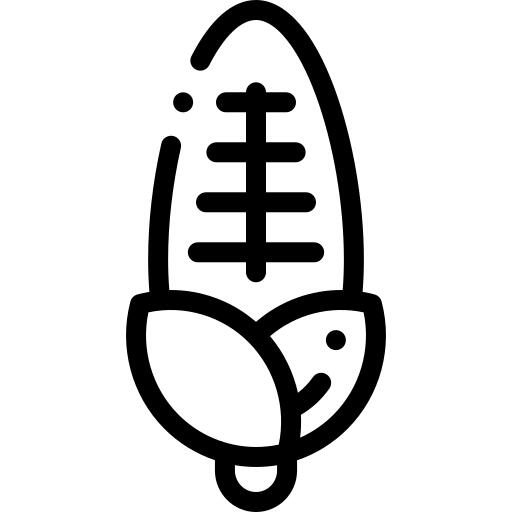 玉米