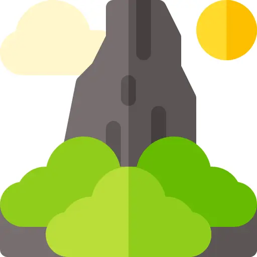 Pico cao