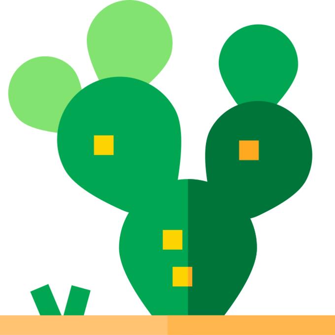 Prickly pear