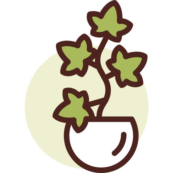 植物