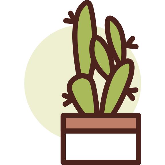 植物